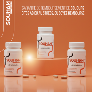 Ashwaganda 500mg