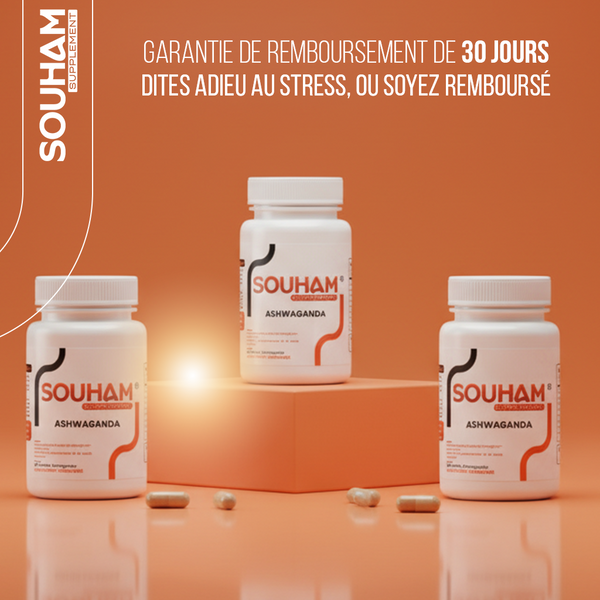 Ashwaganda 500mg