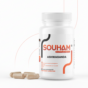 Ashwaganda 500mg